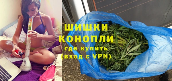 амф Няндома