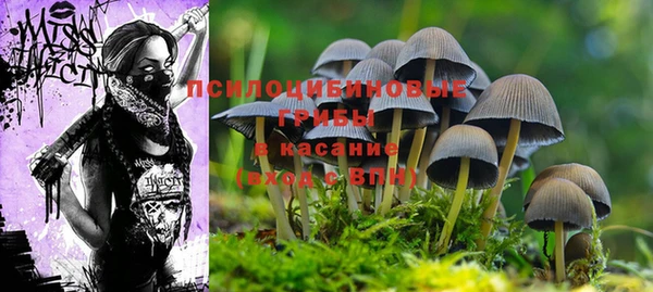 СК Аркадак
