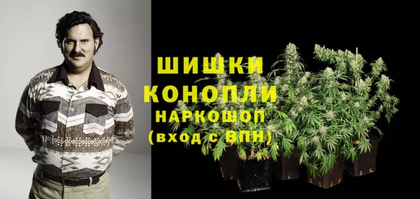 СК Аркадак