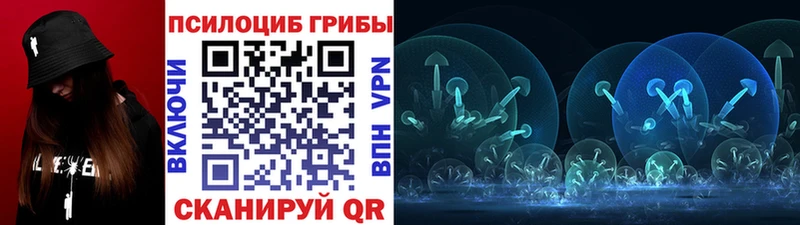 купить закладку  Могоча  Галлюциногенные грибы мицелий 